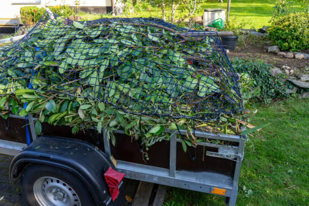 Best Estate Cleanout  in Hemlock, MI